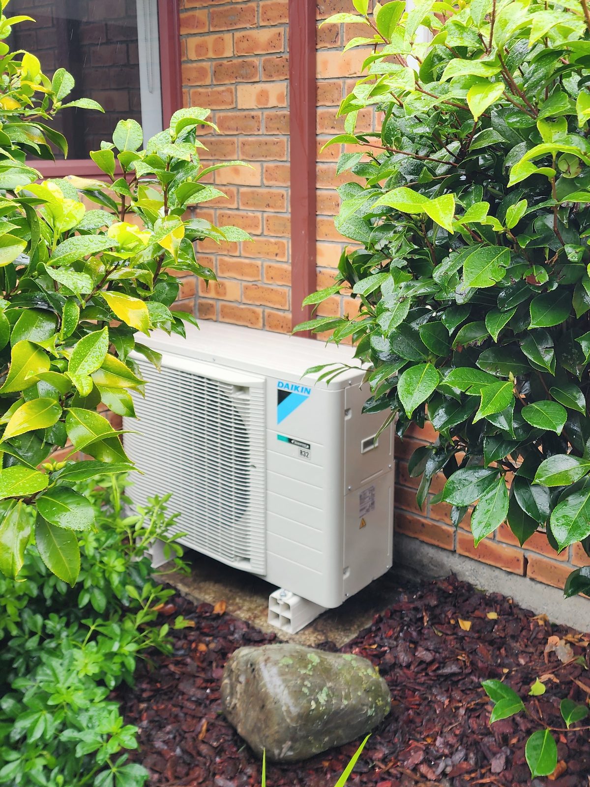A Daikin outdoor heat pump unit on a pad against a red brick wall, between wet green shrubs in the rain.