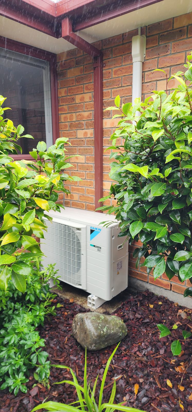A Daikin outdoor heat pump unit on a pad against a red brick wall, between wet green shrubs in the rain.